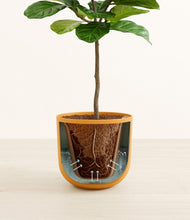 Load image into Gallery viewer, Sunset Orange stand:all
