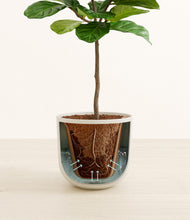 Load image into Gallery viewer, Natural Bamboo stand:all
