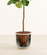 Load image into Gallery viewer, Natural Bamboo stand:all
