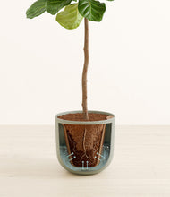 Load image into Gallery viewer, Sage Green stand:all
