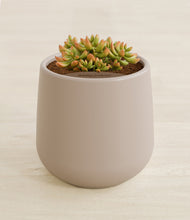 Load image into Gallery viewer, Eternal Gray stand:all
