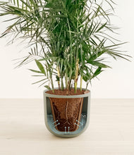 Load image into Gallery viewer, Sage Green stand:all
