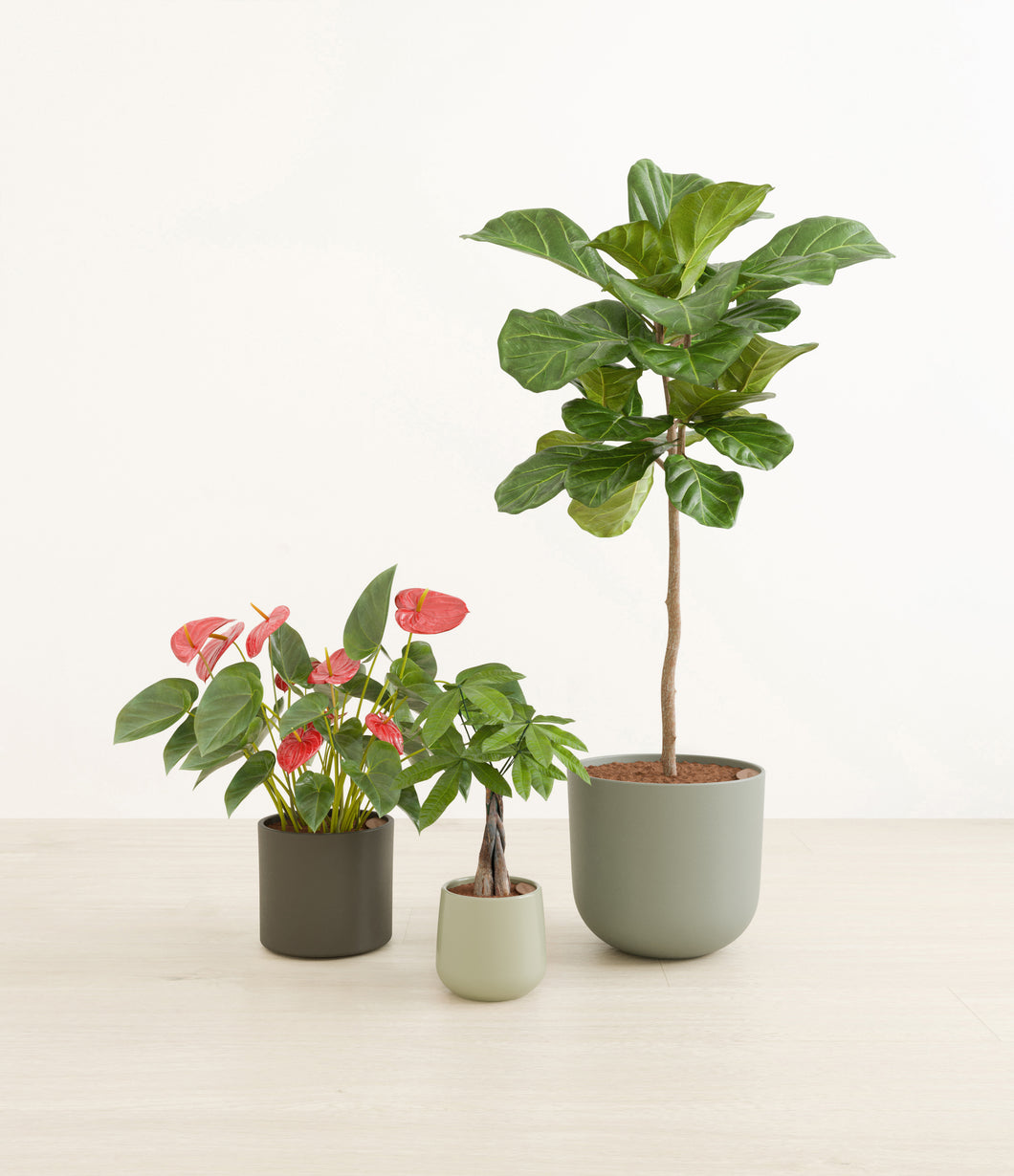 Countryside*****Profile