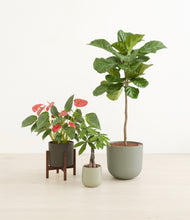 Load image into Gallery viewer, Countryside stand:one_stand
