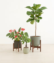 Load image into Gallery viewer, Countryside stand:two_stand
