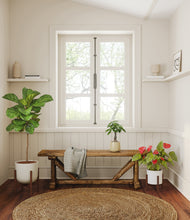 Load image into Gallery viewer, Misty Morning stand:two_stands
