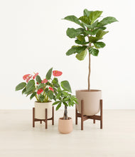 Load image into Gallery viewer, Sandy stand:two_stand
