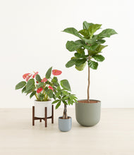 Load image into Gallery viewer, Whispering Waves stand:one_stand
