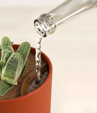 Load image into Gallery viewer, Earth Red stand:all
