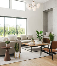 Load image into Gallery viewer, Earthy stand:three_stands
