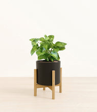 Load image into Gallery viewer, Black stand:bamboo
