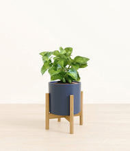 Load image into Gallery viewer, Deep Navy stand:bamboo
