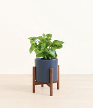 Load image into Gallery viewer, Deep Navy stand:walnut
