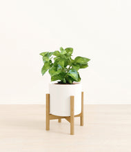Load image into Gallery viewer, White stand:bamboo
