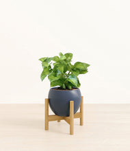 Load image into Gallery viewer, Deep Navy stand:bamboo
