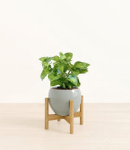Load image into Gallery viewer, Deep Ocean stand:bamboo
