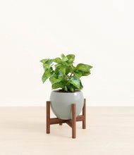Load image into Gallery viewer, Deep Ocean stand:walnut
