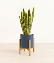 Load image into Gallery viewer, Deep Navy stand:bamboo
