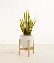 Load image into Gallery viewer, Natural Bamboo stand:bamboo
