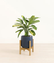 Load image into Gallery viewer, Deep Navy stand:bamboo
