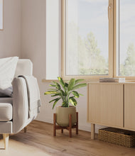 Load image into Gallery viewer, Olive stand:walnut
