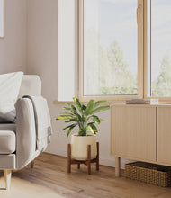 Load image into Gallery viewer, Almond Green stand:walnut
