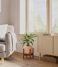 Load image into Gallery viewer, Calm Rose stand:walnut
