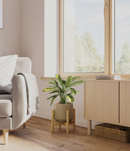 Load image into Gallery viewer, Olive stand:bamboo
