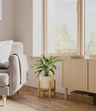 Load image into Gallery viewer, Almond Green stand:bamboo
