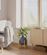 Load image into Gallery viewer, Deep Navy stand:bamboo
