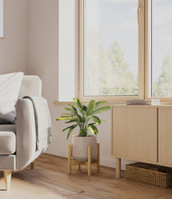 Load image into Gallery viewer, Eternal Gray stand:bamboo
