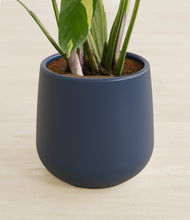 Load image into Gallery viewer, Deep Navy stand:all
