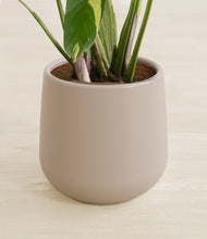 Load image into Gallery viewer, Eternal Gray stand:all
