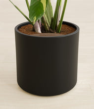 Load image into Gallery viewer, Black stand:all
