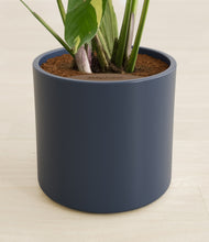 Load image into Gallery viewer, Deep Navy stand:all
