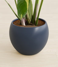 Load image into Gallery viewer, Deep Navy stand:all
