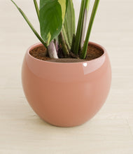 Load image into Gallery viewer, Deep Ocean stand:all
