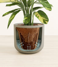 Load image into Gallery viewer, Sage Green stand:all
