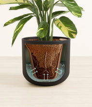 Load image into Gallery viewer, Stone Black stand:all
