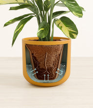 Load image into Gallery viewer, Sunset Orange stand:all
