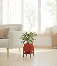 Load image into Gallery viewer, Earth Red stand:walnut
