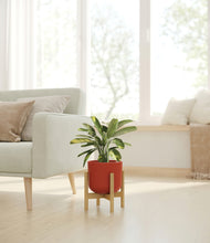 Load image into Gallery viewer, Earth Red stand:bamboo
