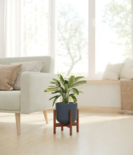 Load image into Gallery viewer, Iron Gray stand:walnut
