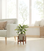 Load image into Gallery viewer, Sage Green stand:walnut
