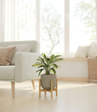 Load image into Gallery viewer, Sage Green stand:bamboo
