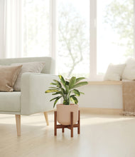 Load image into Gallery viewer, Sandy Pink stand:walnut
