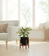 Load image into Gallery viewer, Stone Black stand:walnut
