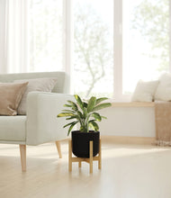 Load image into Gallery viewer, Stone Black stand:bamboo
