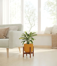 Load image into Gallery viewer, Sunset Orange stand:walnut
