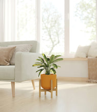 Load image into Gallery viewer, Sunset Orange stand:bamboo

